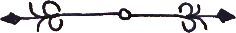 A hand-drawn divider in blue ink, but slightly smaller.