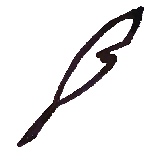 A hand-drawn divider in blue ink, but slightly smaller.